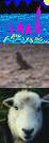 The Mystery of Loch Ness