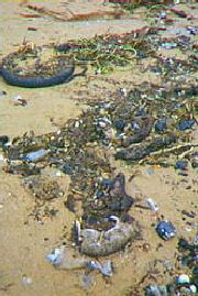 Historic Scotland sewage into Loch Ness