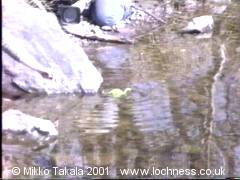 germantv3.jpg - 10400 Bytes